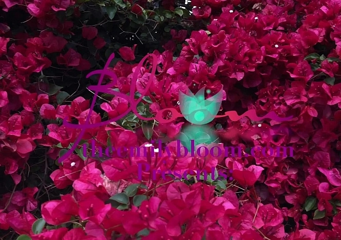 floral_video