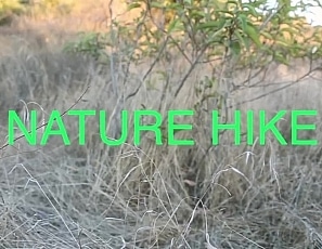 nature_hike_video