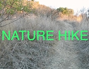 nature_hike_video