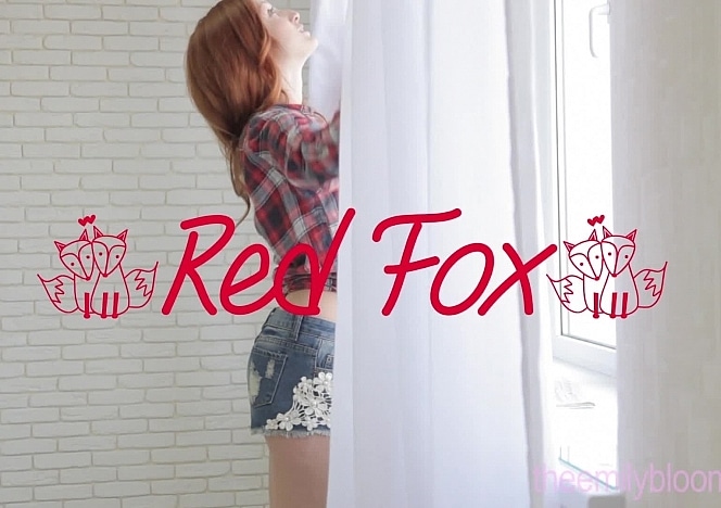 red_fox_rocks_video