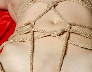 shibari